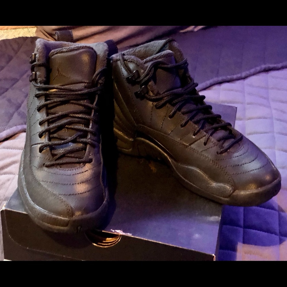 Air Jordan 12
